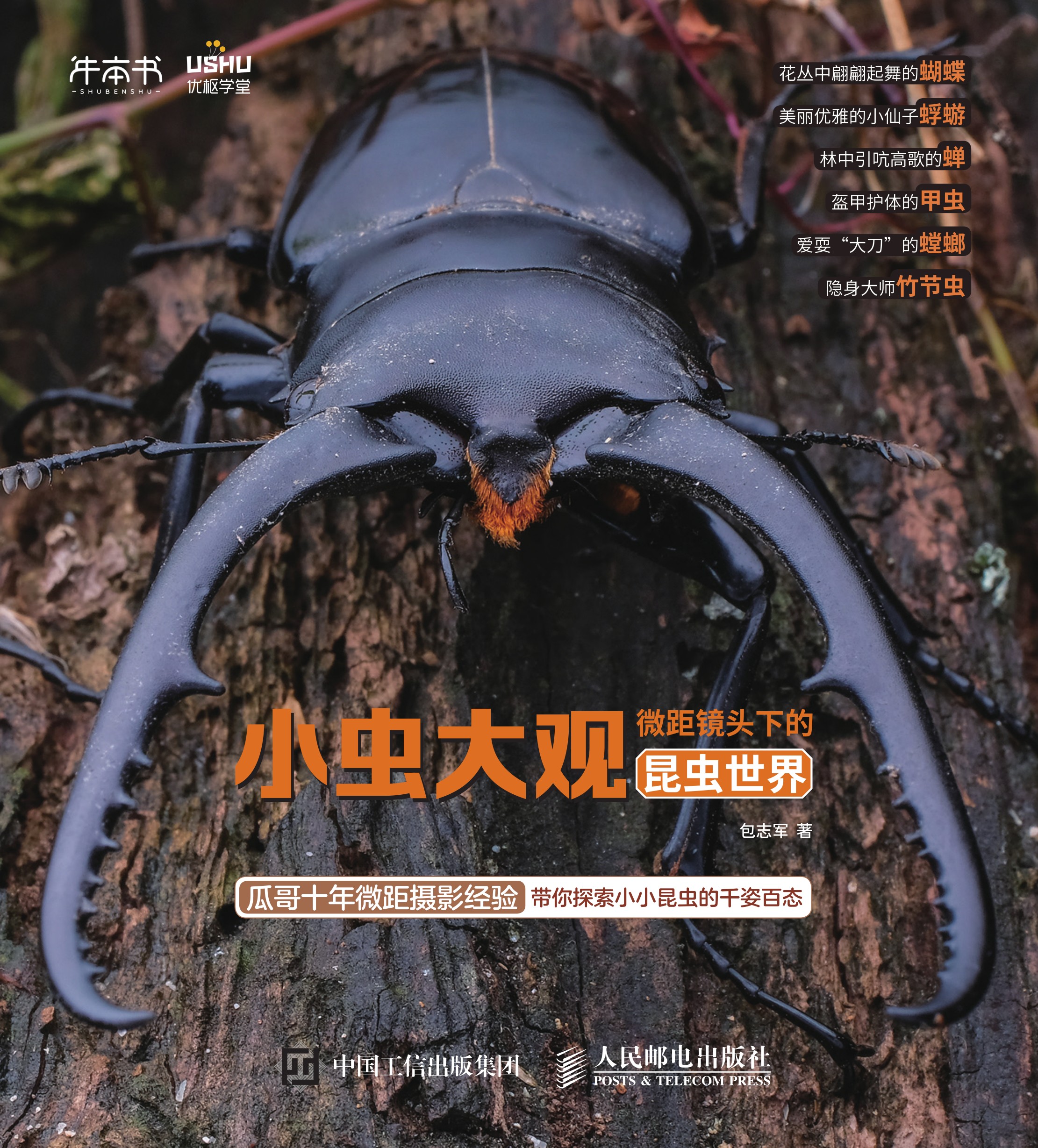 小虫大观 微距镜头下的昆虫世界