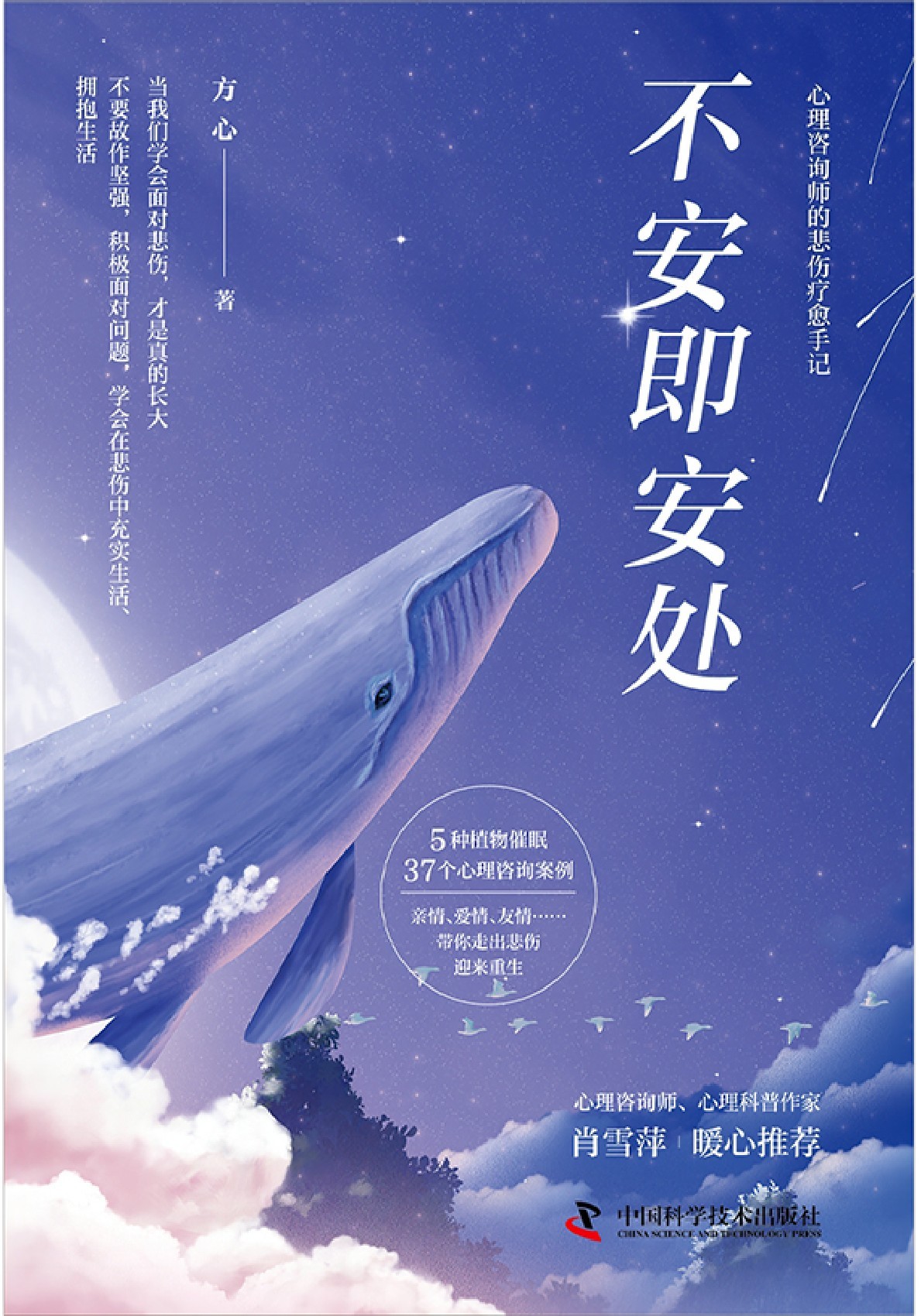 不安即安处：心理咨询师的悲伤疗愈手记