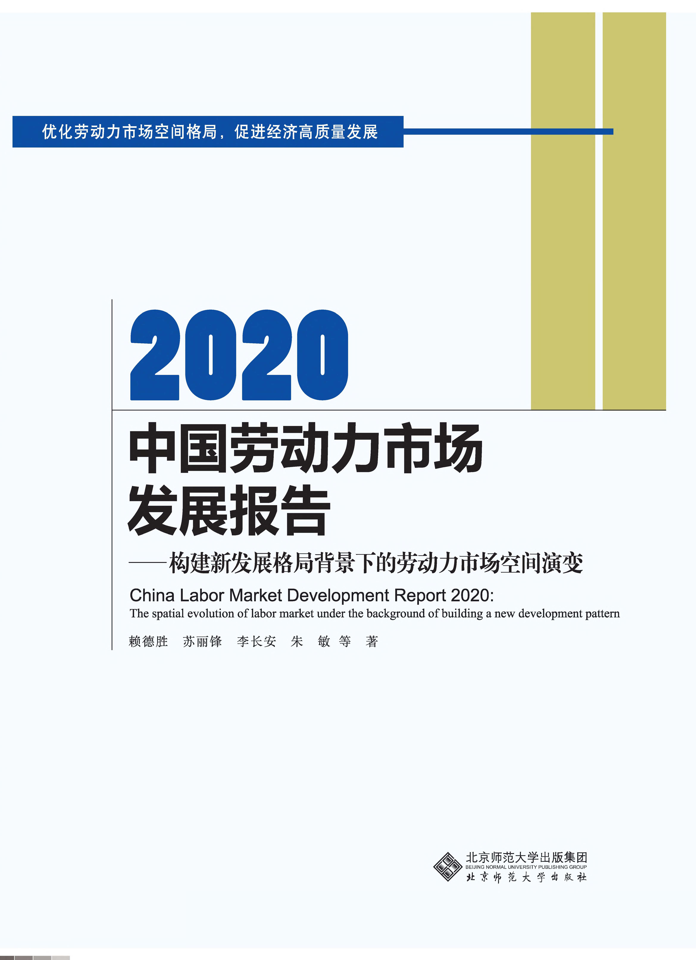 2020中国劳动力市场发展报告