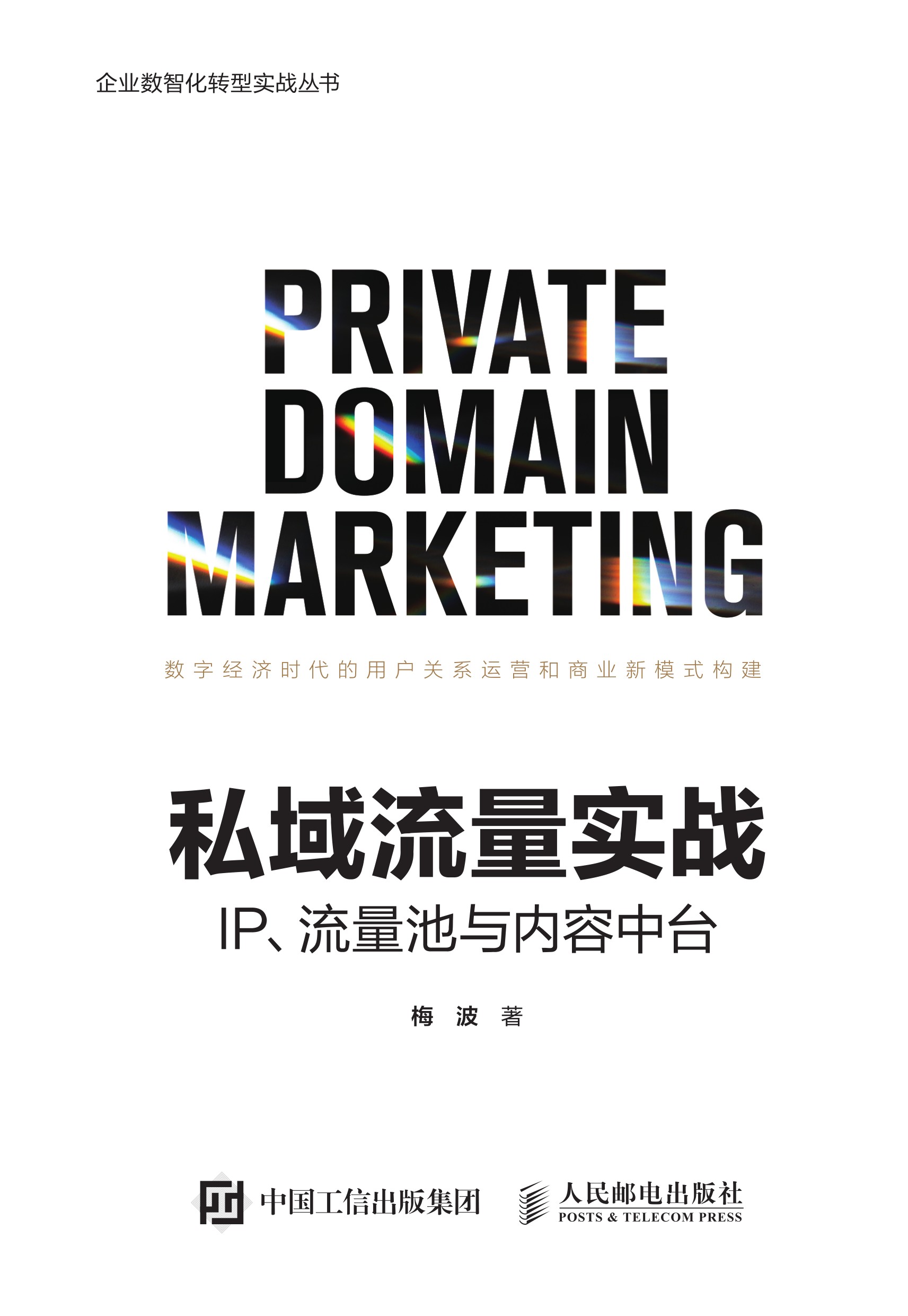 私域流量实战：IP、流量池与内容中台