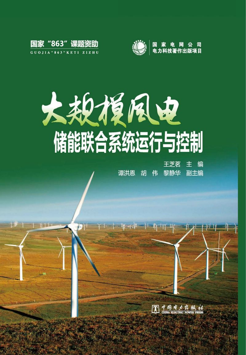 大规模风电储能联合系统运行与控制