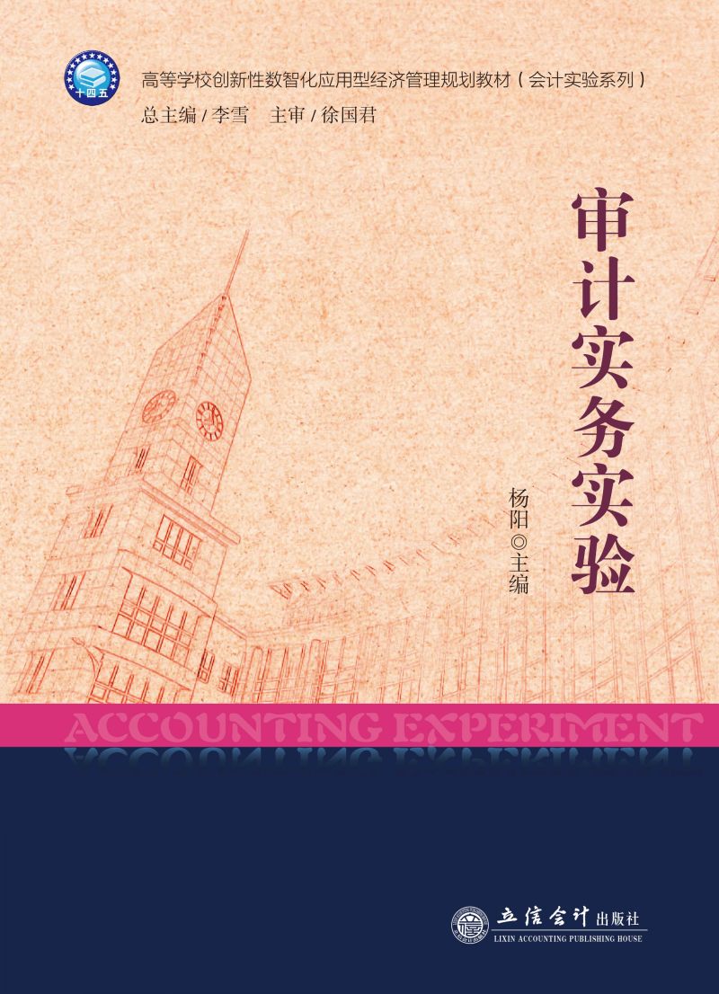审计实务实验