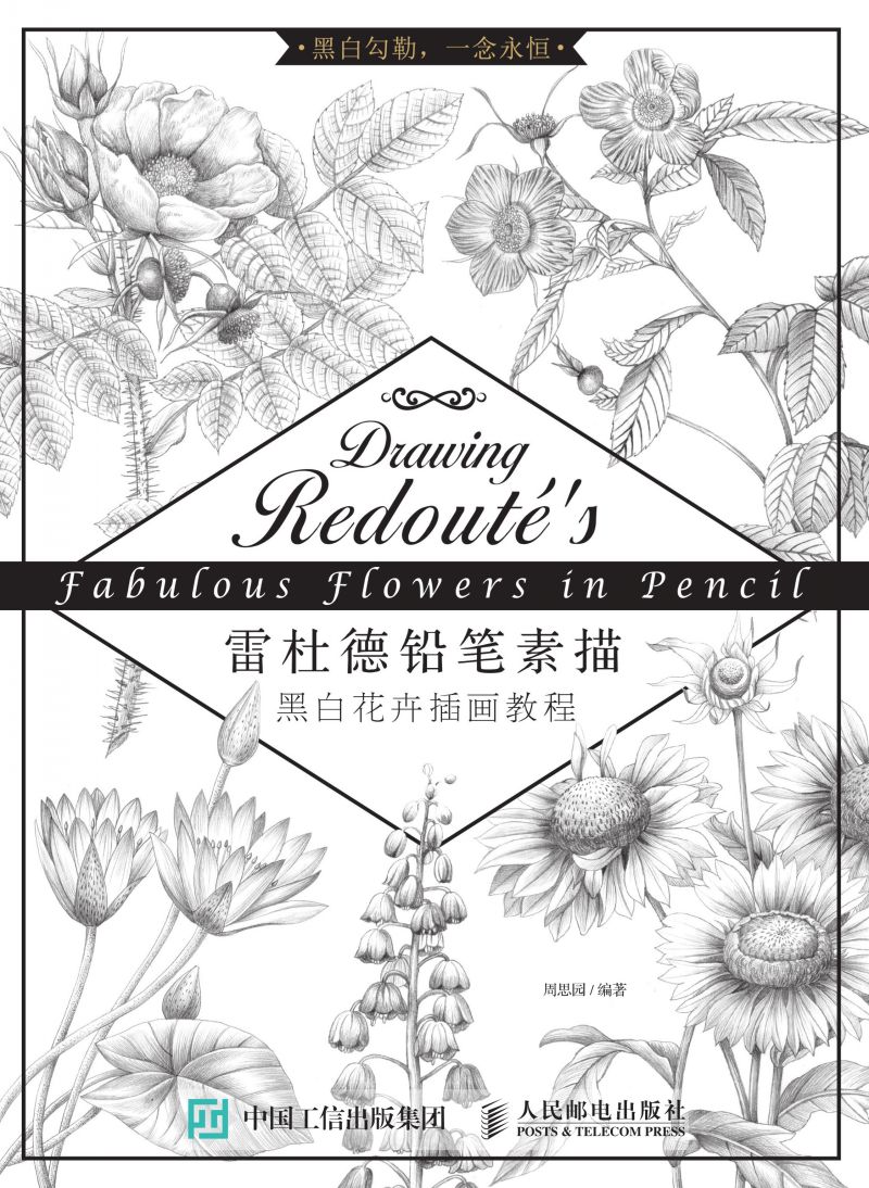 雷杜德铅笔素描 黑白花卉插画教程