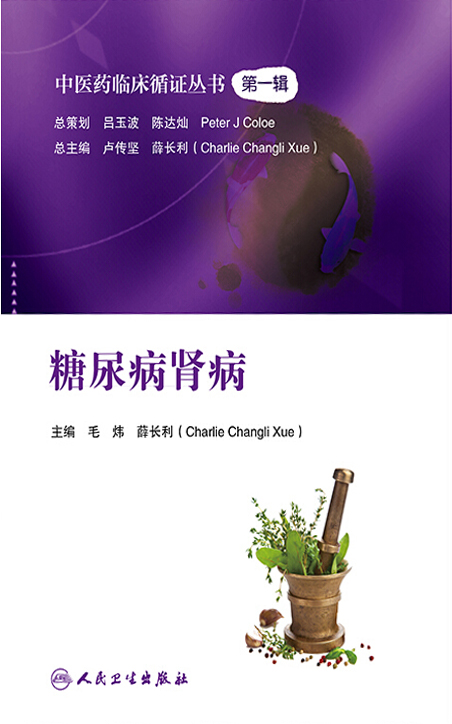 中医药临床循证丛书——糖尿病肾病