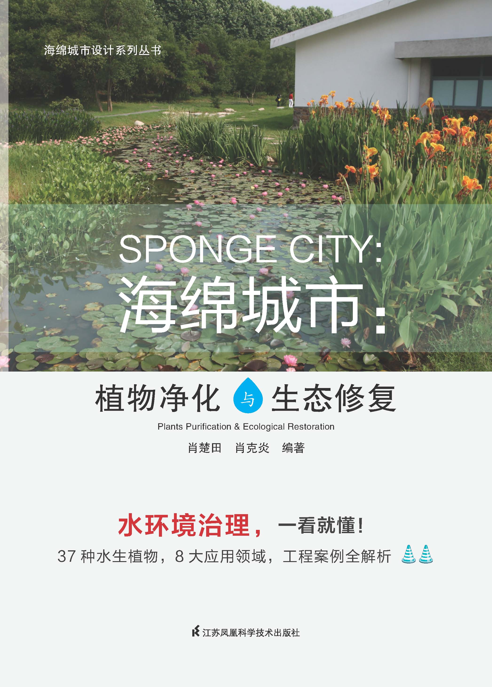 海绵城市——植物净化与生态修复