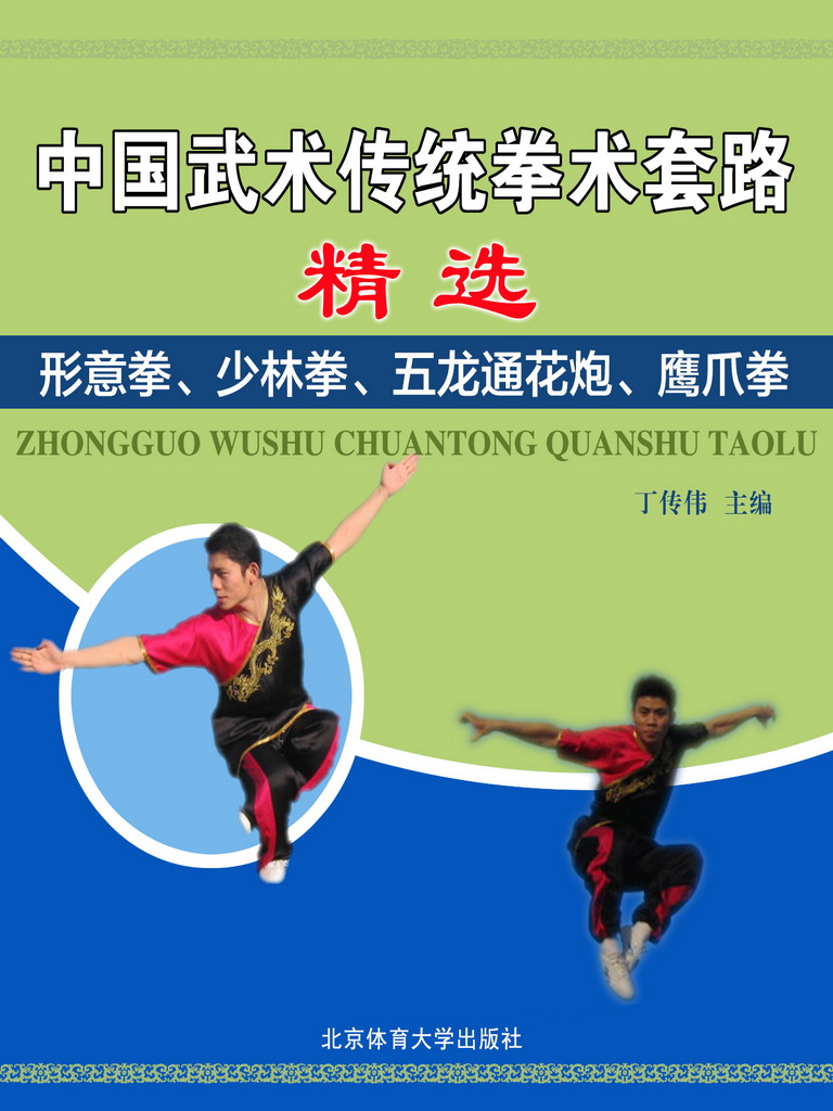 中国武术传统拳术套路精选——形意拳、少林拳、五龙通花炮、鹰爪拳