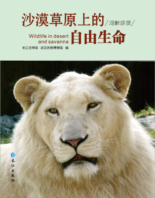 沙漠草原上的自由生命