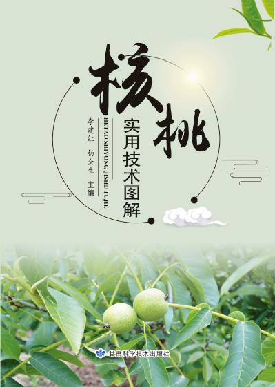 核桃实用技术图解