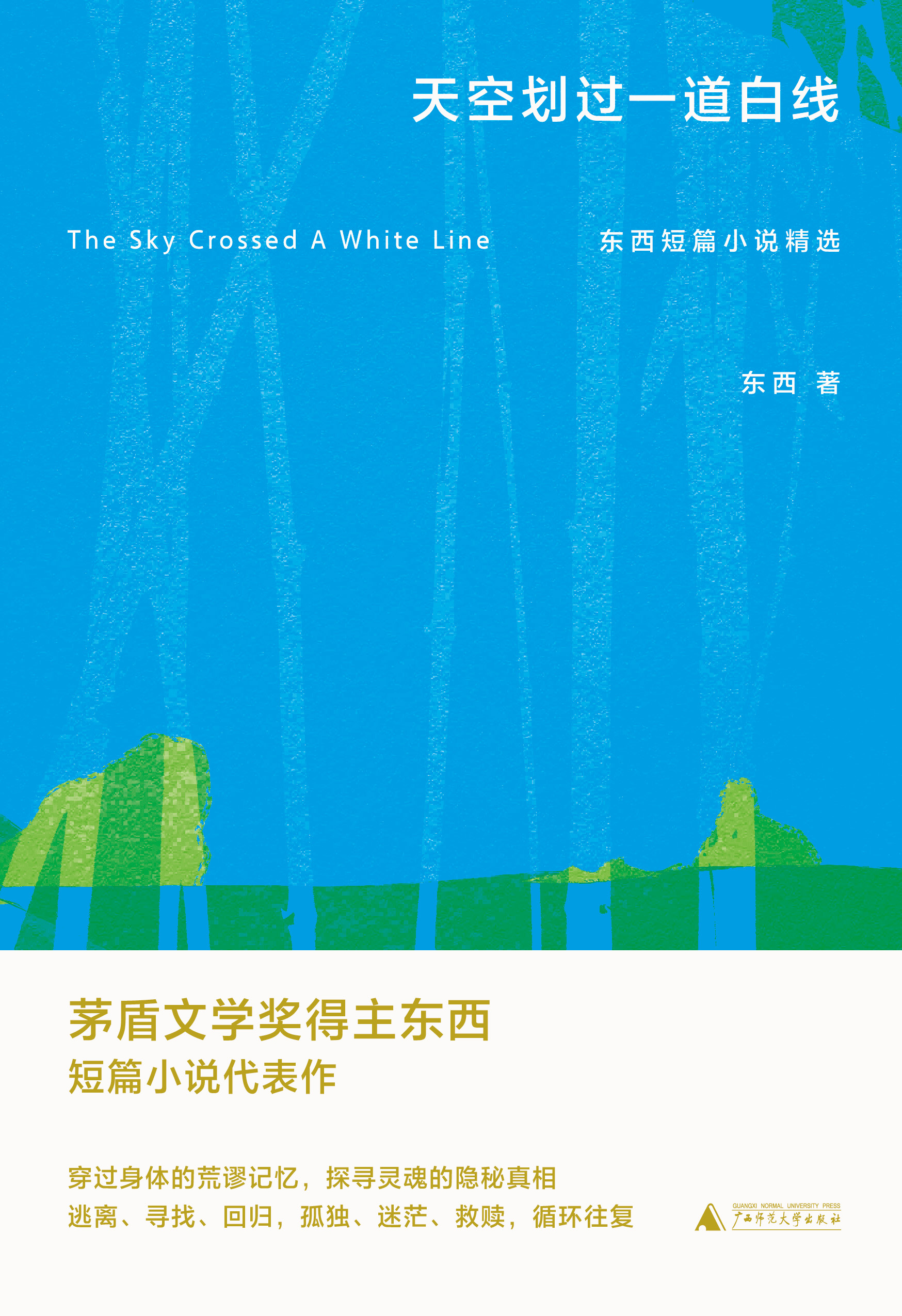 天空划过一道白线：东西短篇小说精选