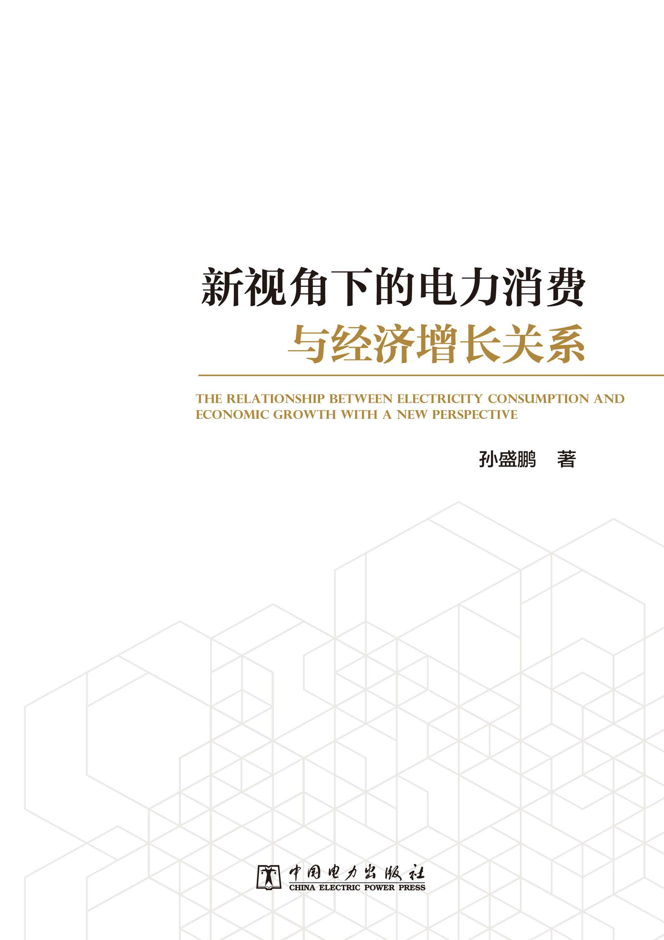 新视角下的电力消费与经济增长关系