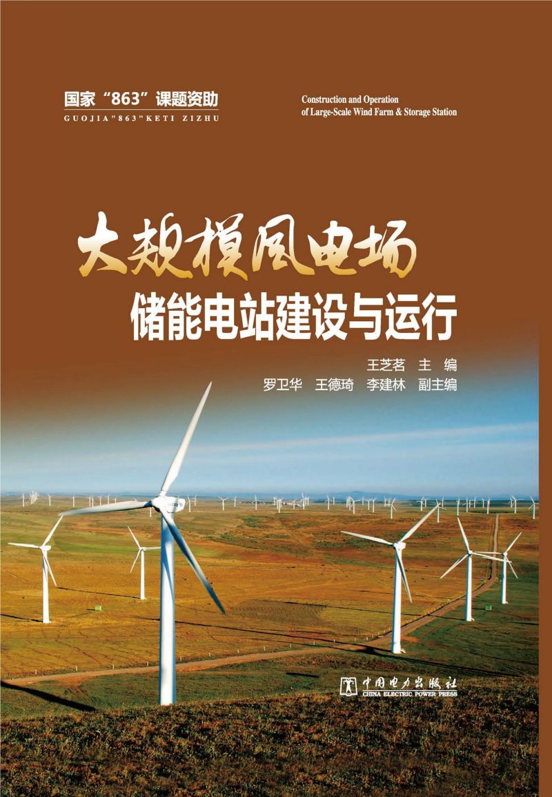 大规模风电场储能电站建设与运行
