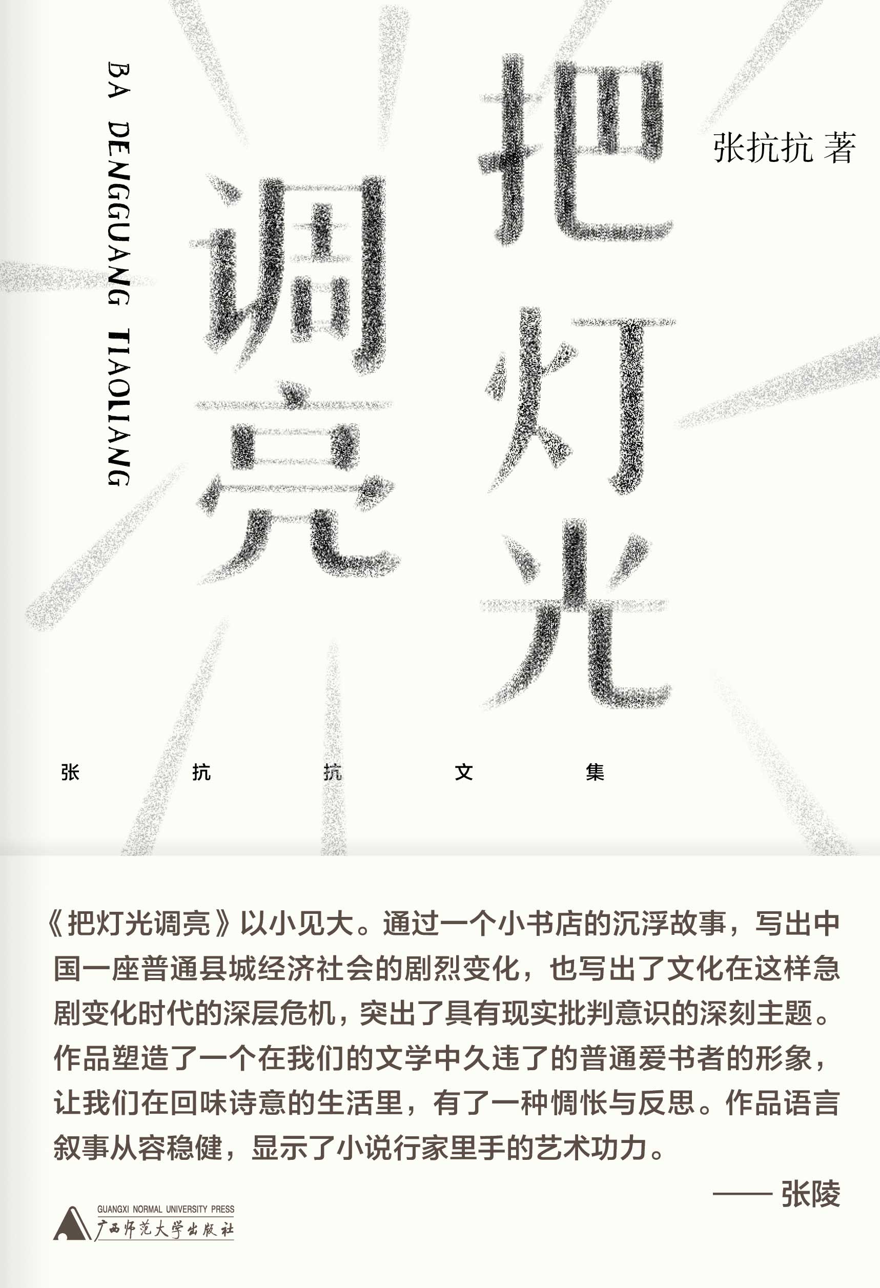 纯粹向度  张抗抗文集  把灯光调亮