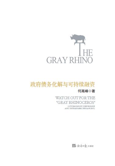 警惕“灰犀牛”——政府债务化解与可持续融资