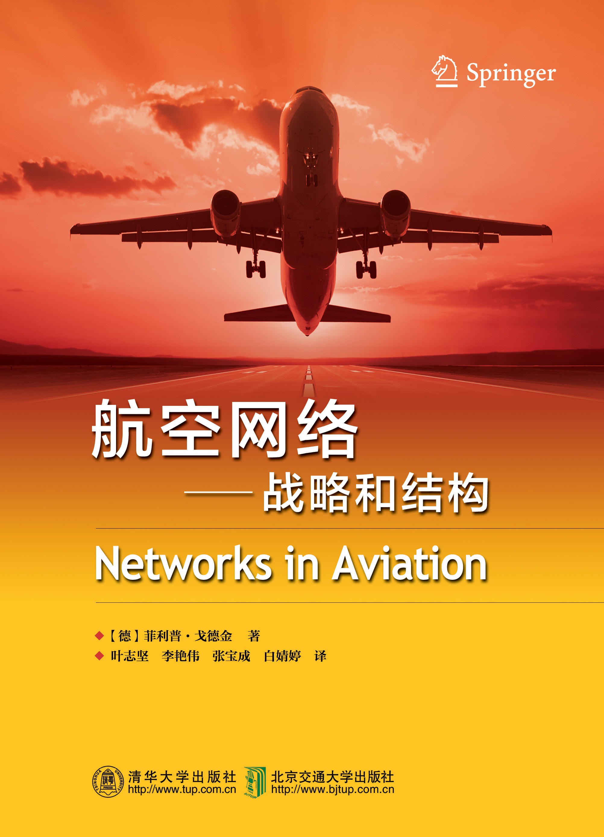 航空网络（战略和结构）