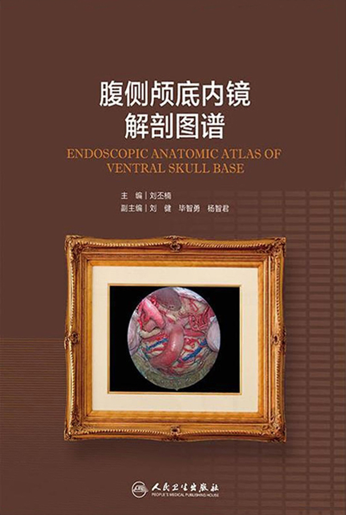 腹侧颅底内镜解剖图谱