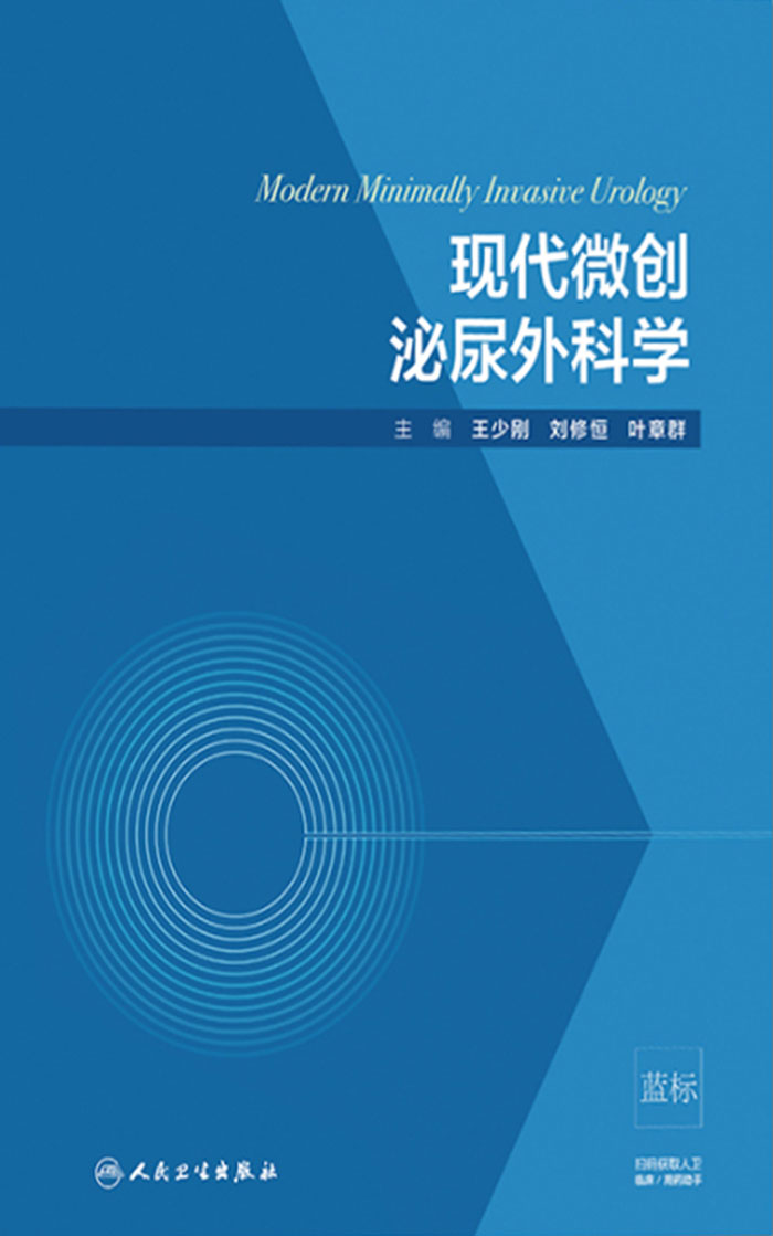 现代微创泌尿外科学