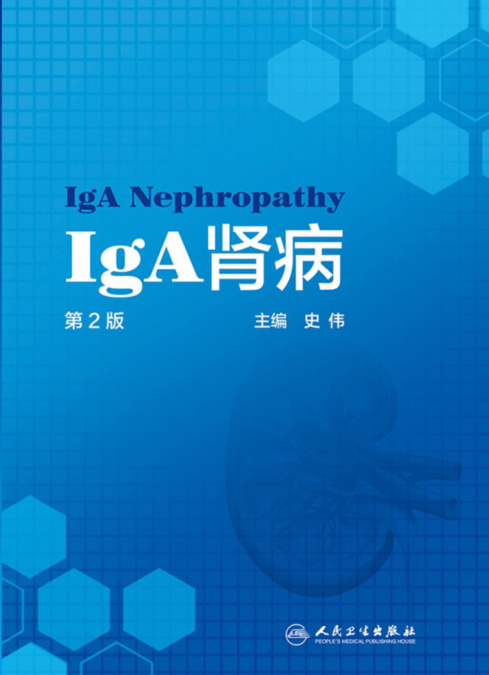 IgA肾病（第2版）