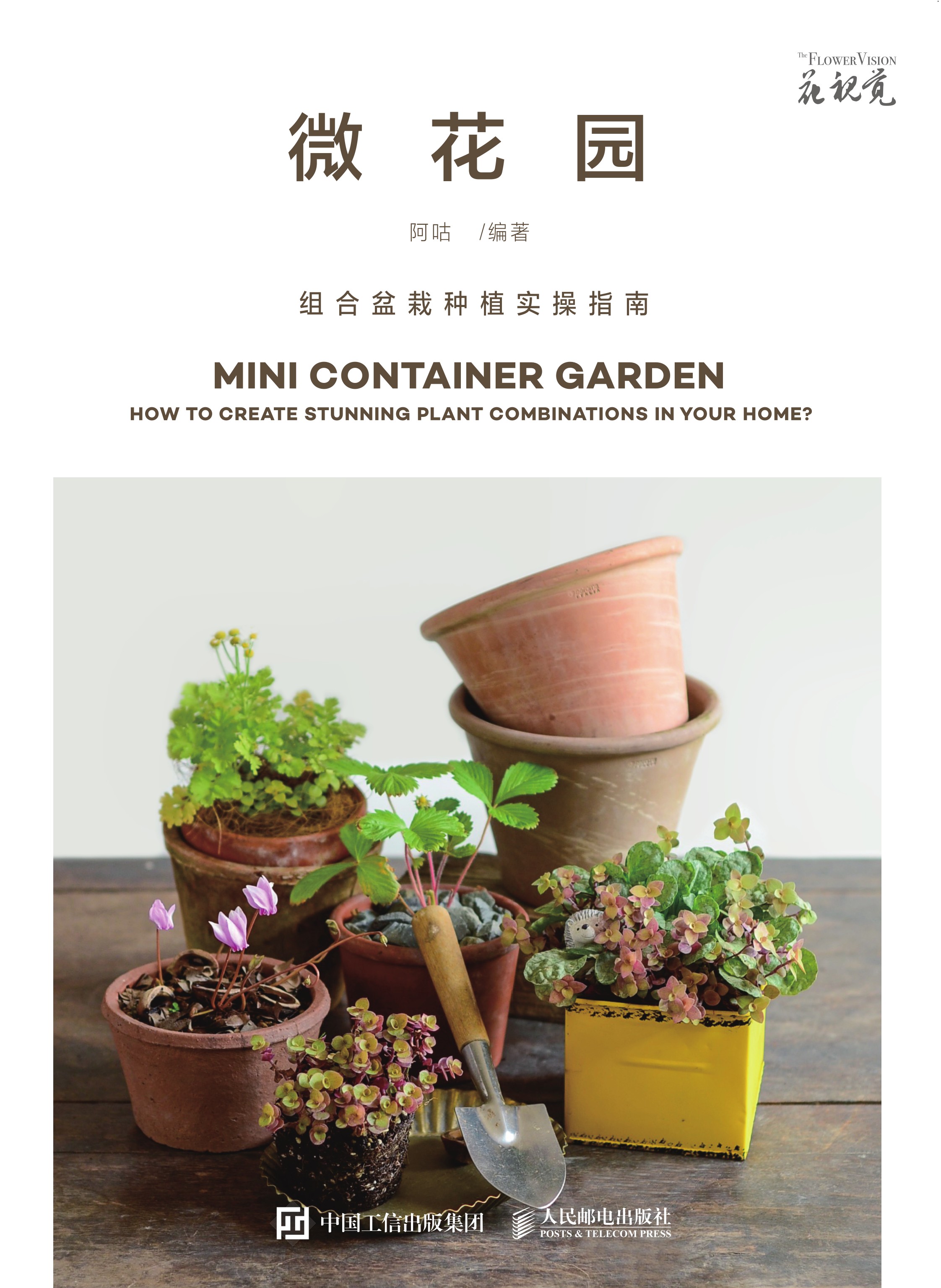 微花园 组合盆栽种植实操指南