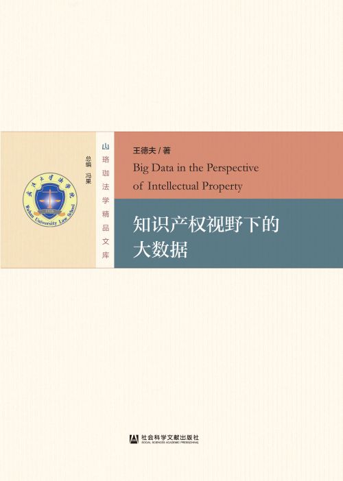 知识产权视野下的大数据