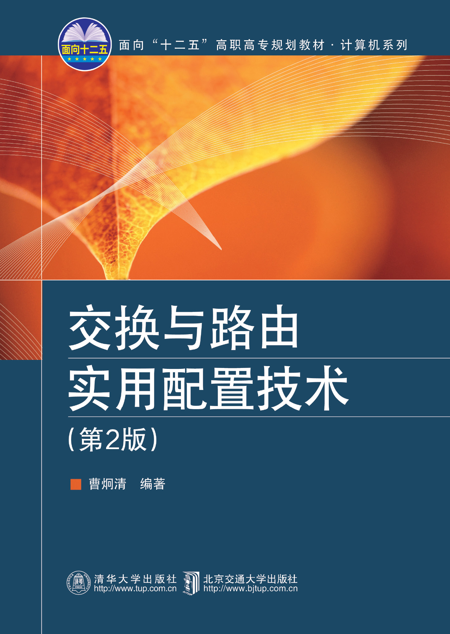 交换与路由实用配置技术（第2版）