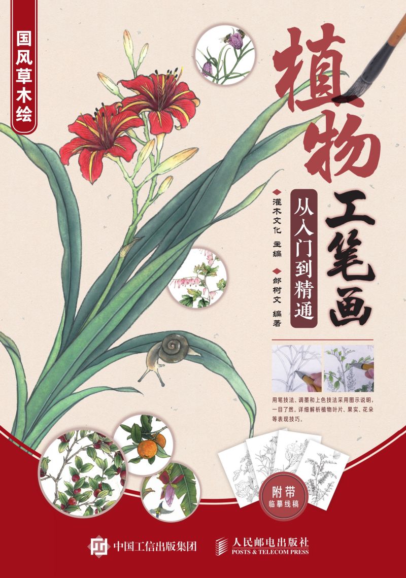 植物工笔画从入门到精通 国风草木绘