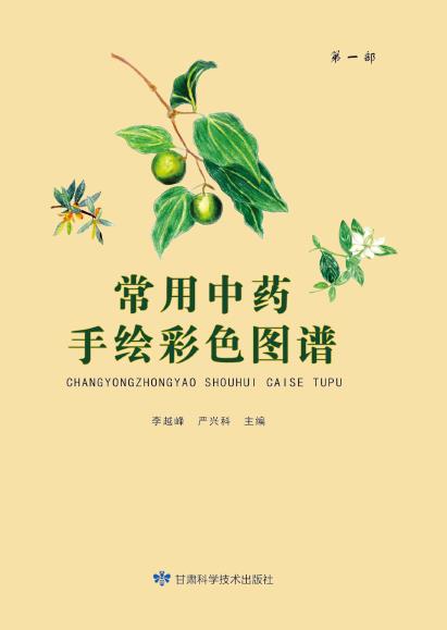 常见中药手绘彩色图谱