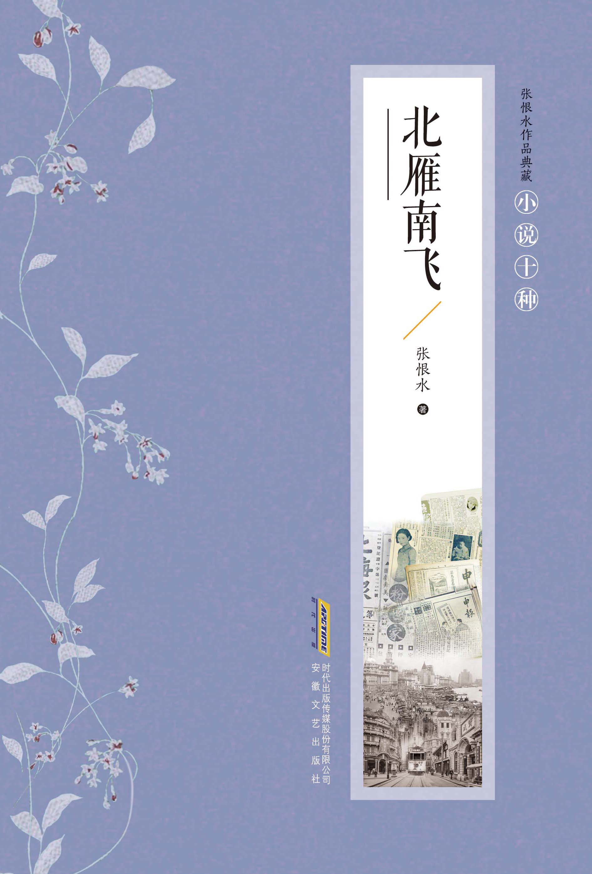 张恨水作品典藏·北雁南飞（精）