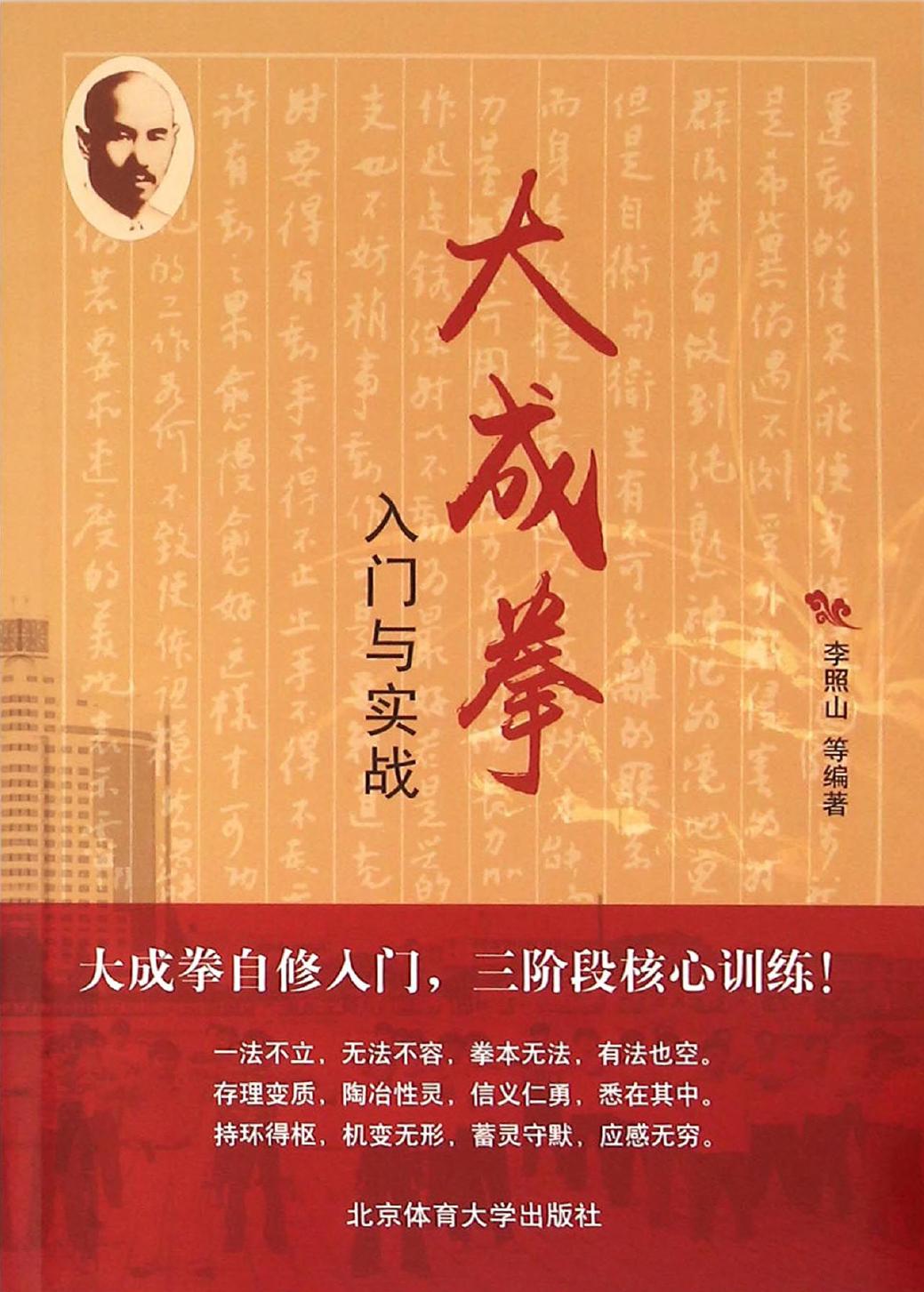 大成拳入门与实战