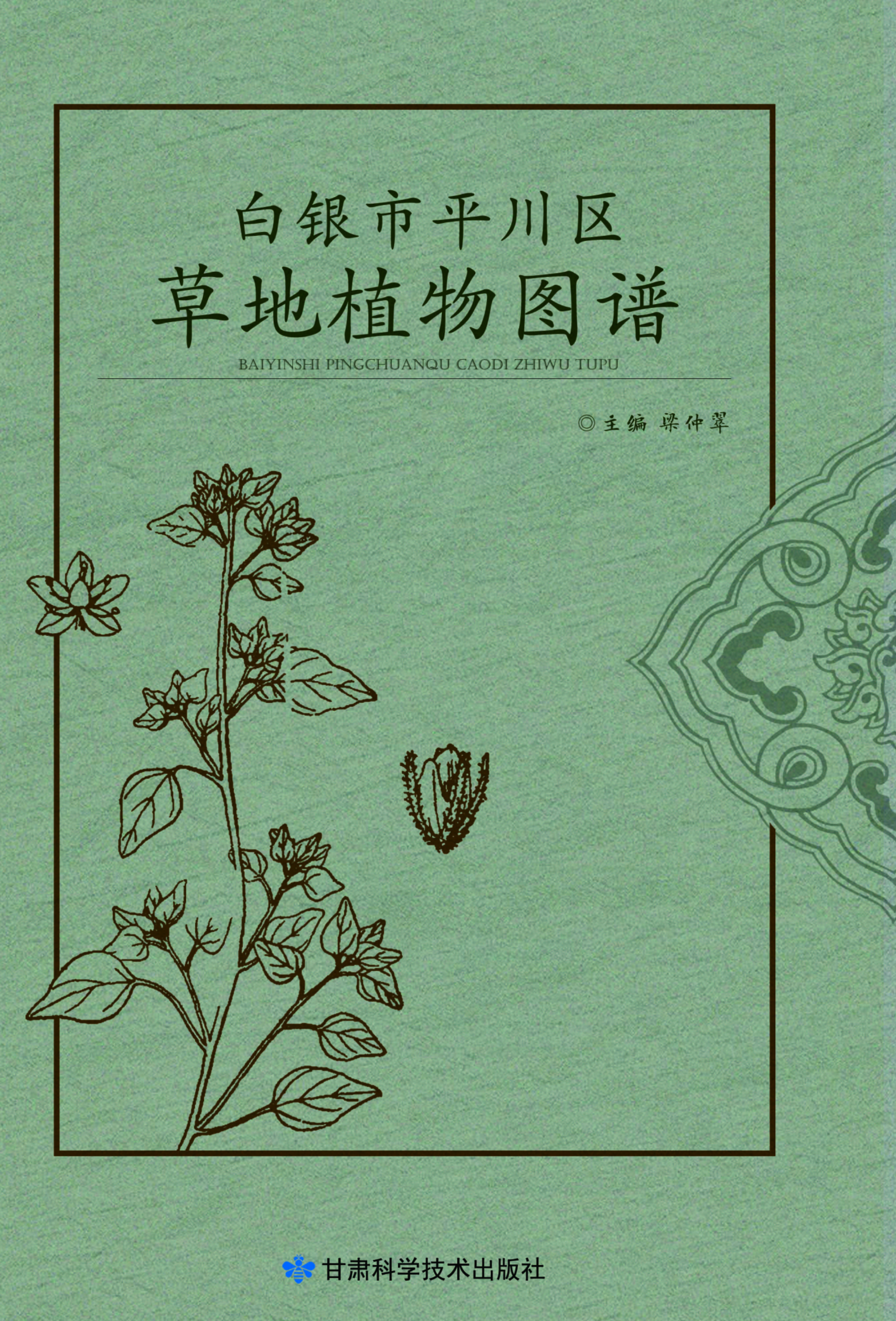 白银市平川区草地植物图谱