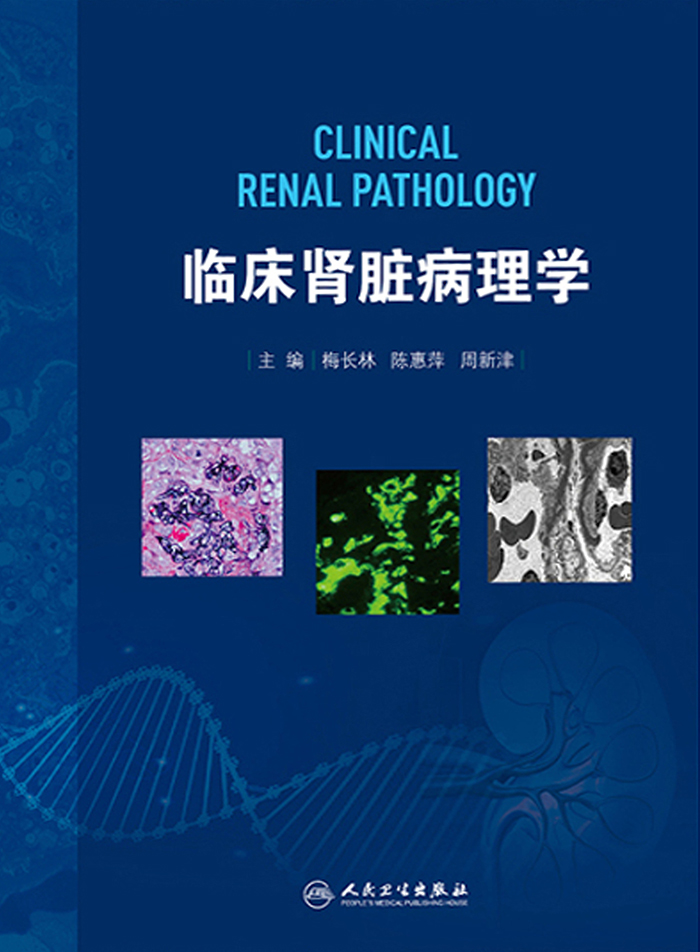 临床肾脏病理学