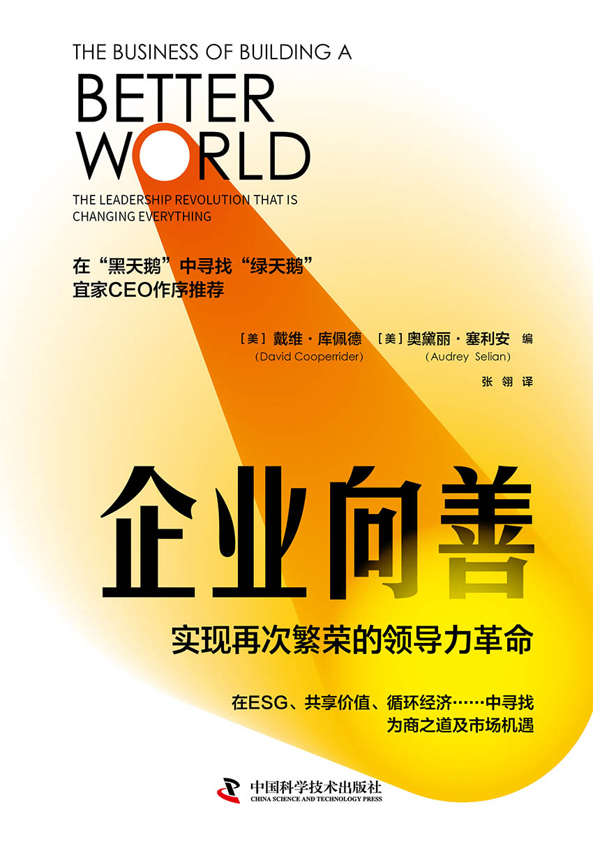 企业向善：实现再次繁荣的领导力革命