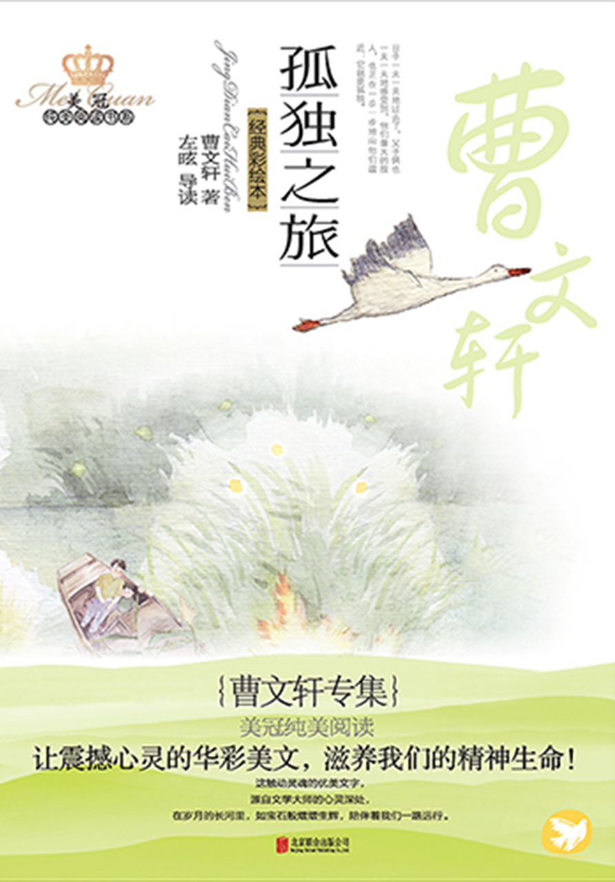 孤独之旅：曹文轩专集