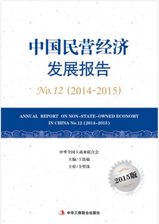 中国民营经济发展报告2015版No.12（2014-2015）