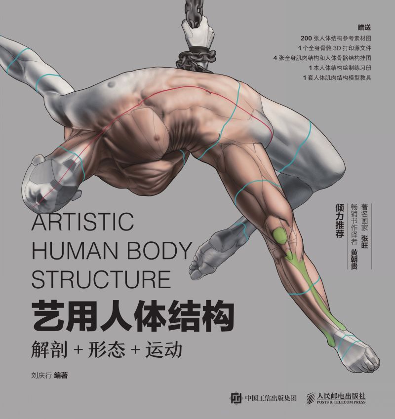 艺用人体结构：解剖+形态+运动
