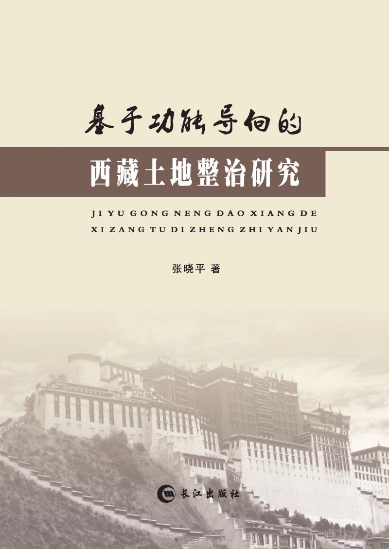 基于功能导向的西藏土地整治研究