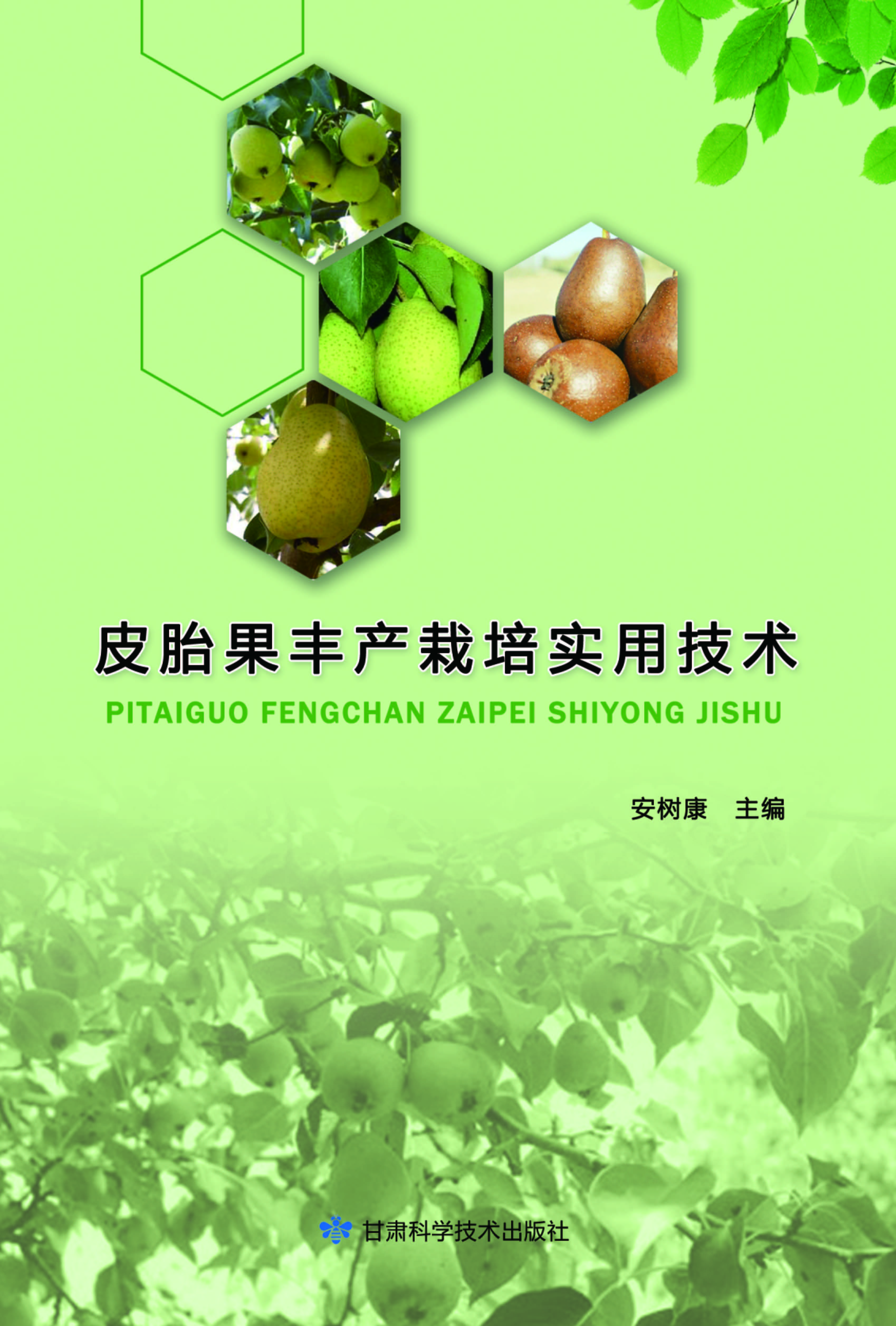 皮胎果丰产栽培实用技术