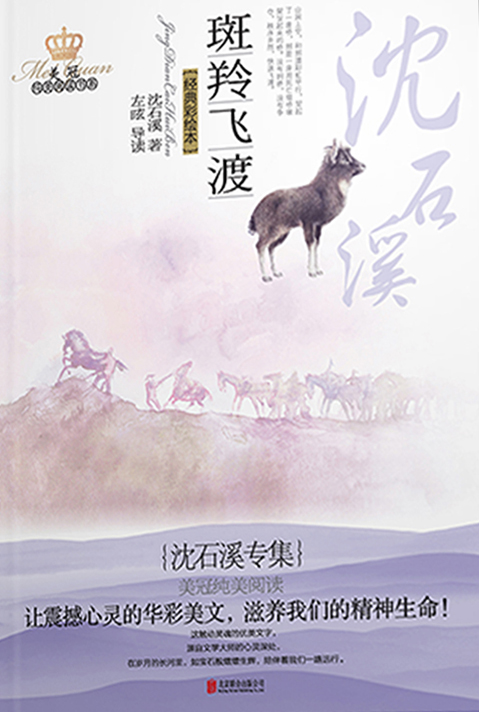 斑羚飞渡：沈石溪专集