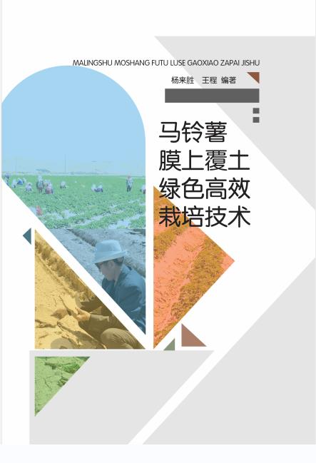 马铃薯膜上覆土绿色高效栽培技术