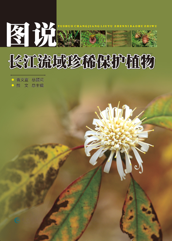 图说长江流域珍稀保护植物