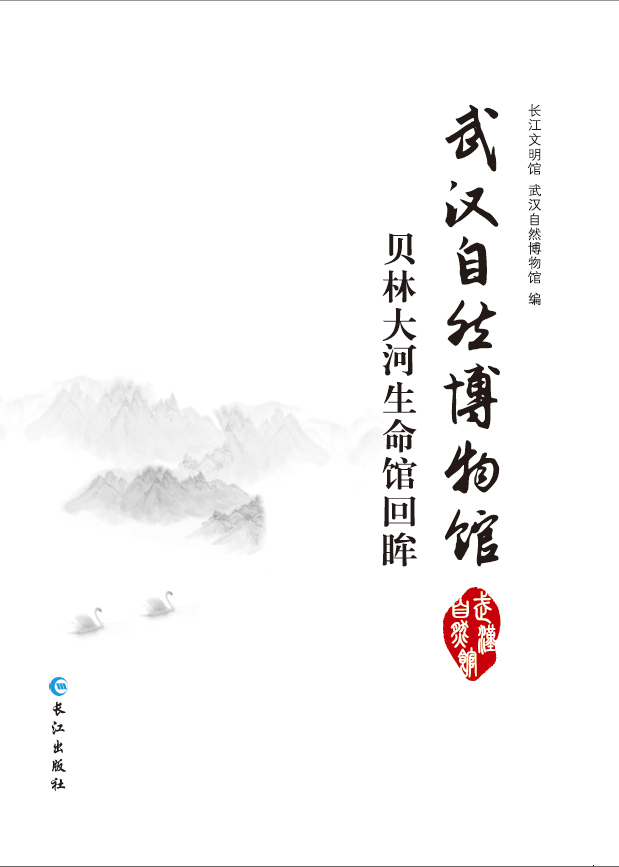 武汉自然博物馆·贝林大河生命馆回眸