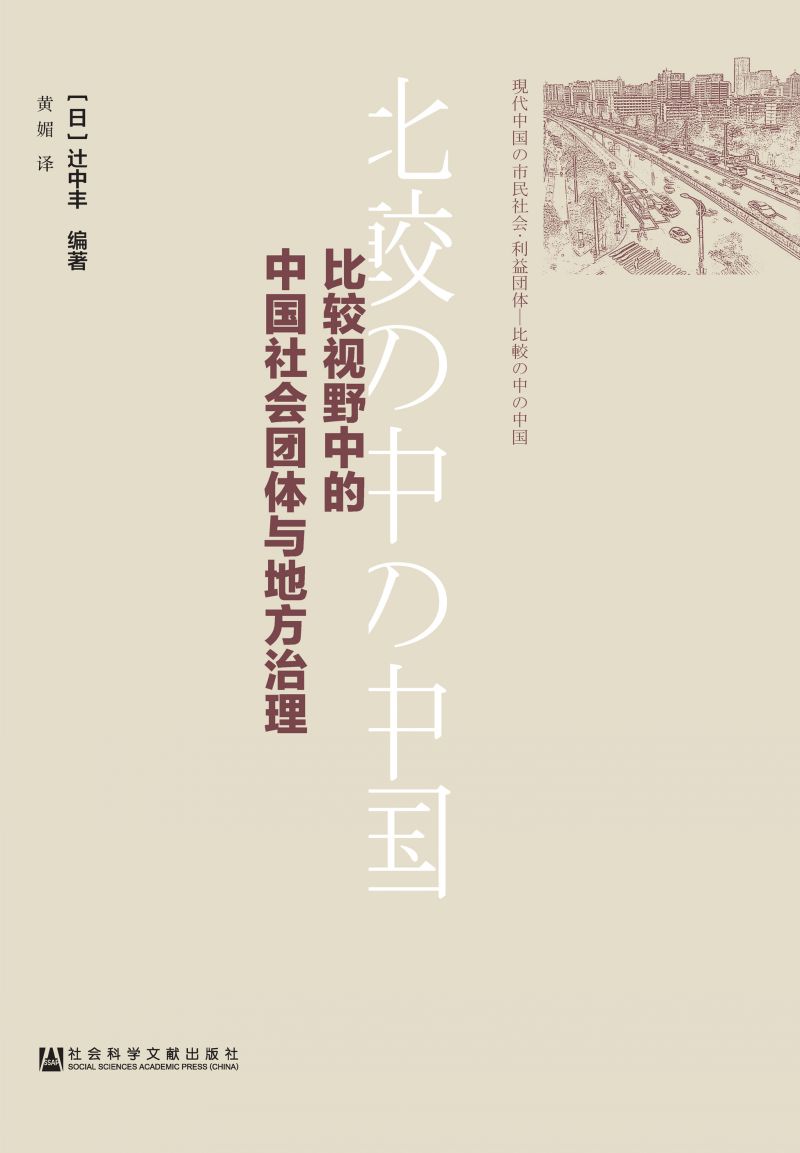 比较视野中的中国社会团体与地方治理