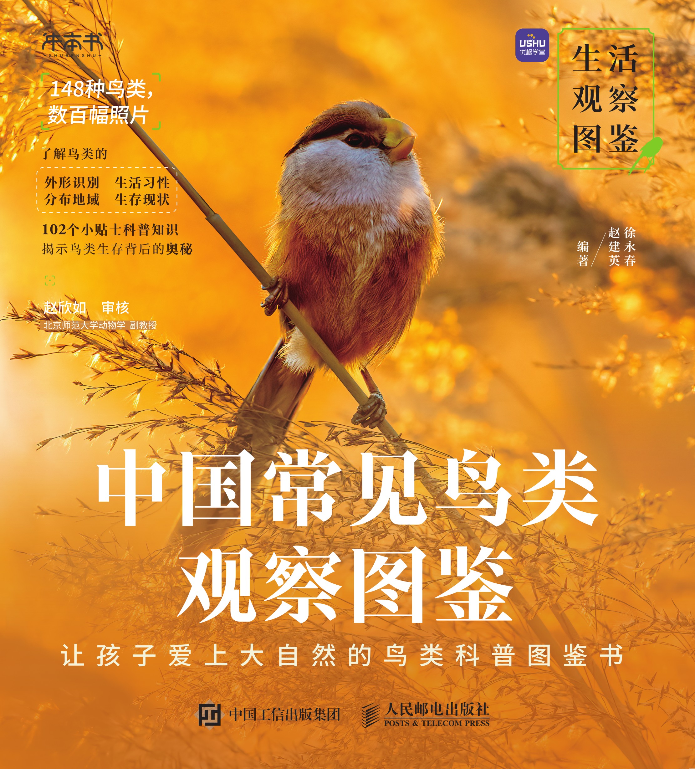 生活观察图鉴 中国常见鸟类观察图鉴