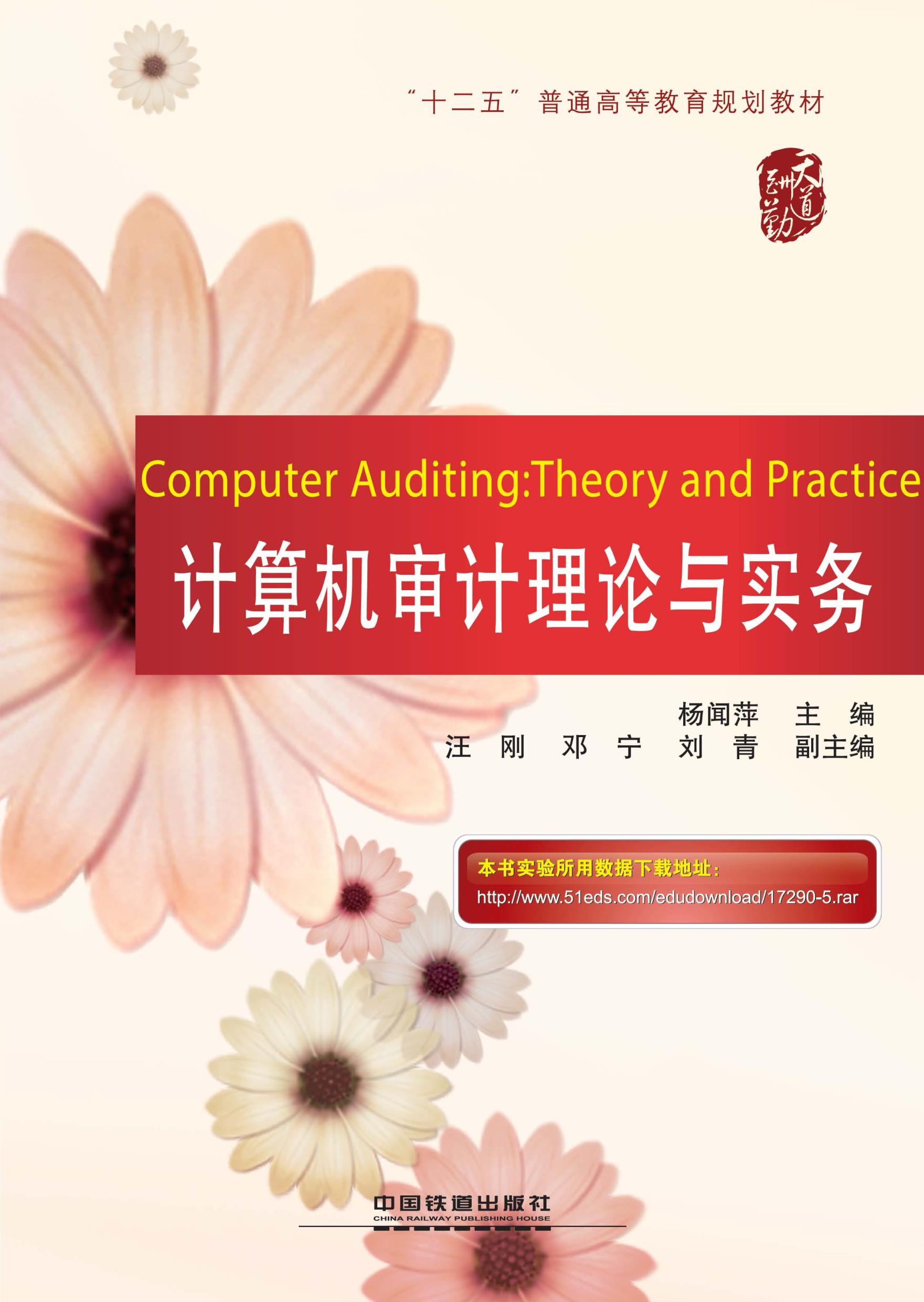 计算机审计理论与实务