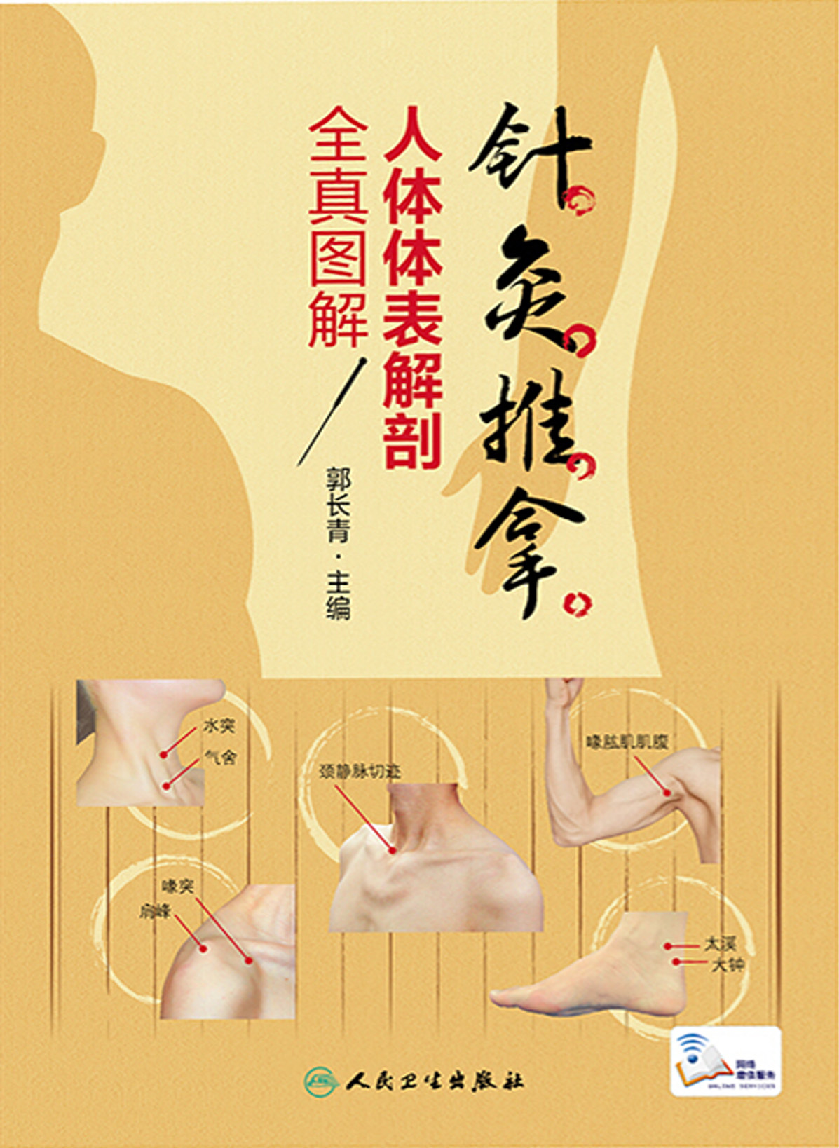 针灸推拿人体体表解剖全真图解