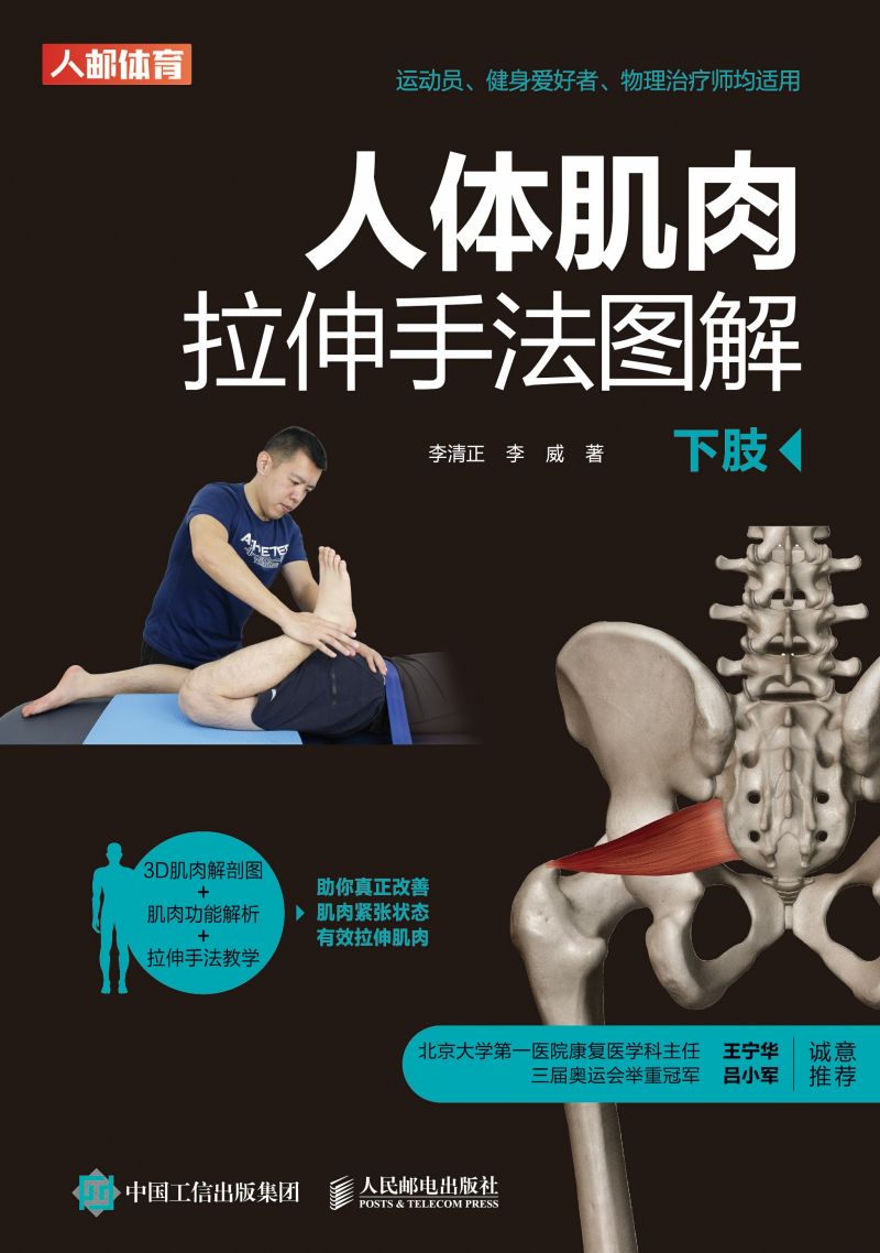 人体肌肉拉伸手法图解（下肢）