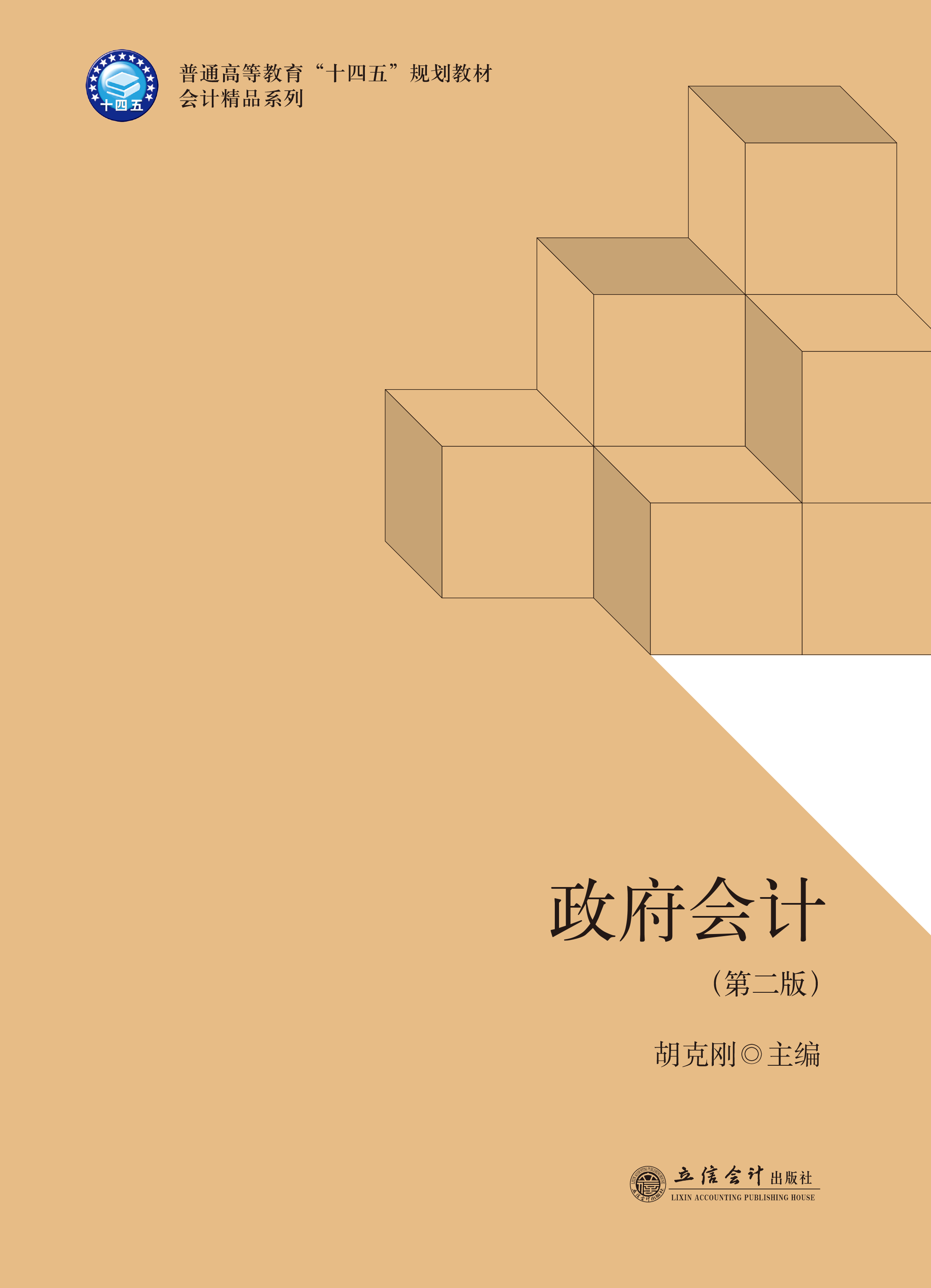 政府会计（第二版）