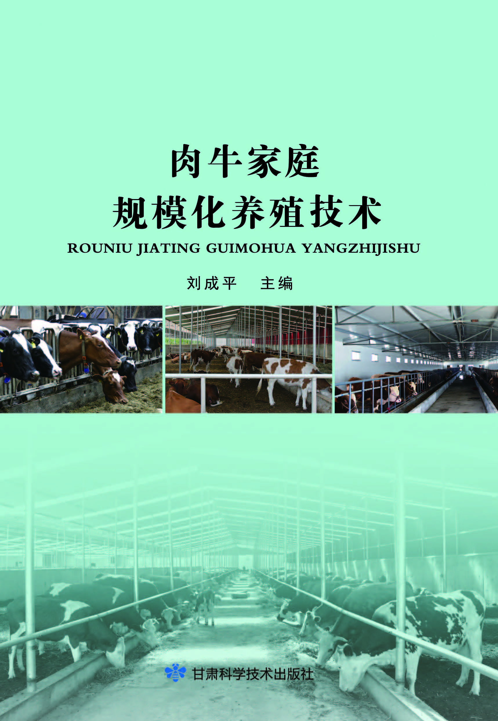 肉牛家庭规模化养殖技术