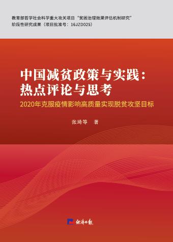 中国减贫政策与实践：热点评论与思考