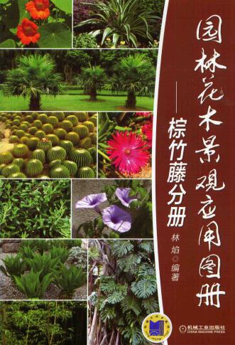 园林花木景观应用图册——棕竹藤分册
