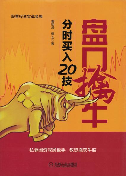 盘口擒牛：分时买入20技